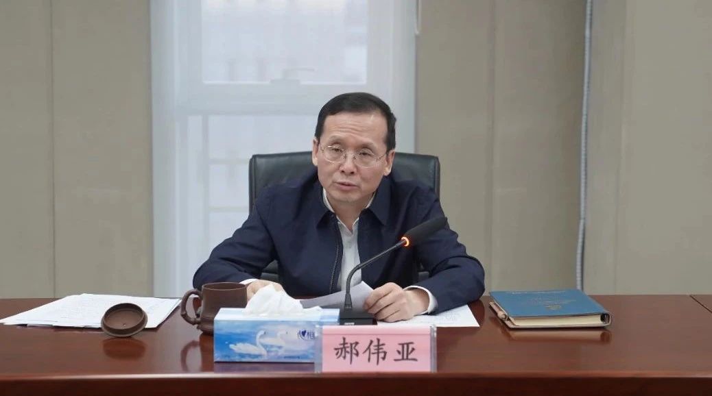 男阳茎进女阳道视频大全