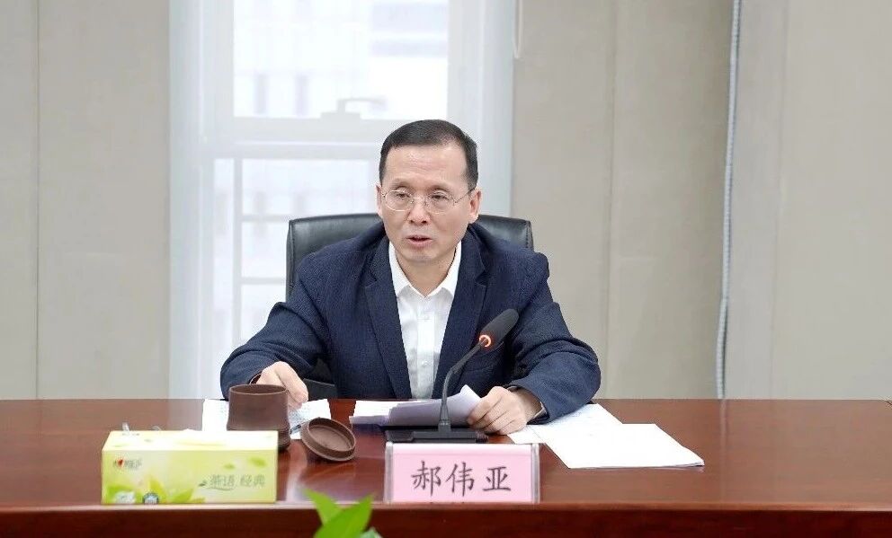 男阳茎进女阳道视频大全